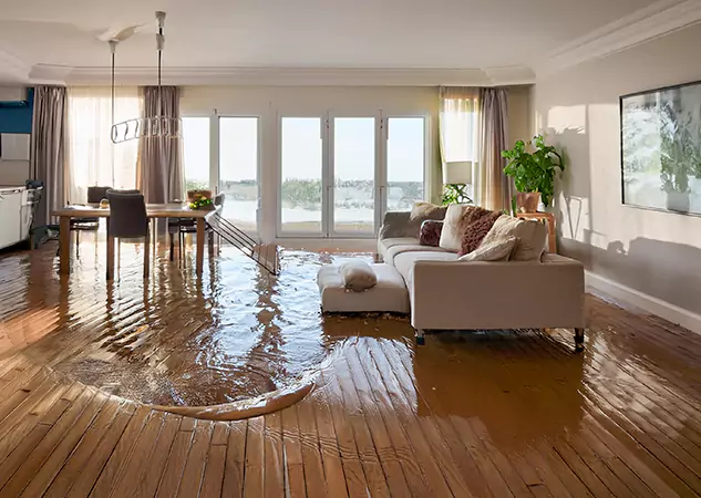 Your Water Removal Specialists in Taylorsville, GA