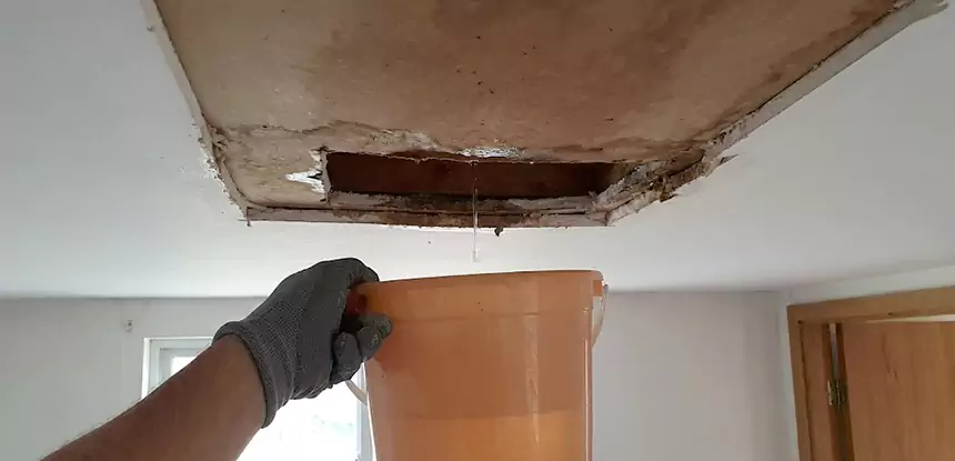 Ceiling Mold Repair Taylorsville 