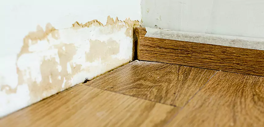 Professional Fix Water Damaged Wood Services in Taylorsville, GA